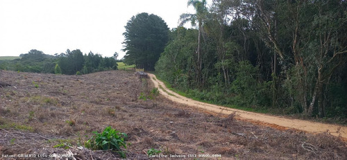 Imagem 1 de 15 de Terreno Para Venda Em Mariana Pimentel, Linha Alves - 1244_1-1843088