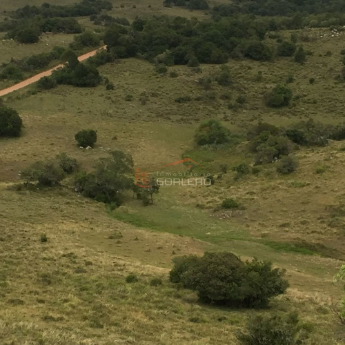 Imagen 10 de 14 de Venta De Chacra En Zona De Ruta 39 A 70 Km De Punta Del Este