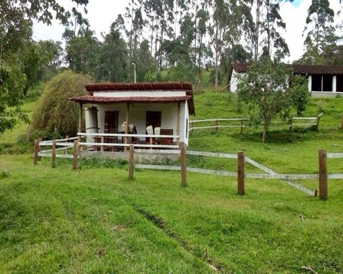 Imagem 17 de 30 de Sitio À Venda Em Juquitiba, - 21 - 32982657