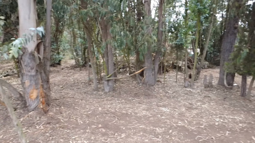 Terreno Plano Los Pinos Gran Conectividad