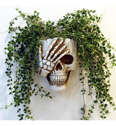 Macetero De Pared De Calavera De Resina Para Decoración