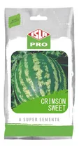 Comprar Sementes De Melancia Crimson Sweet Doce Horta E Lavoura Roça