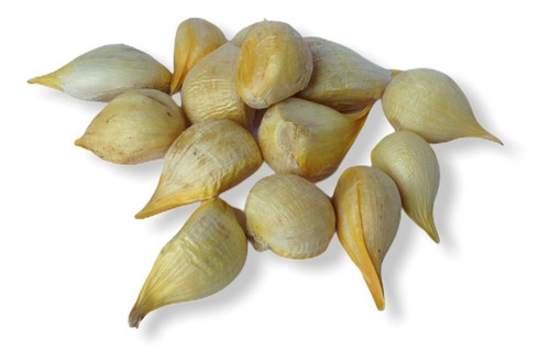Imagen 7 de 9 de Ajo Italiano Desgranado 1kg