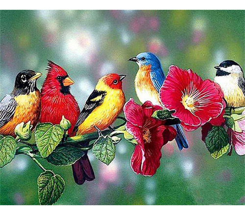 Kit De Pintura Al Óleo Por Números Con Diseño De Pájaro Sobr