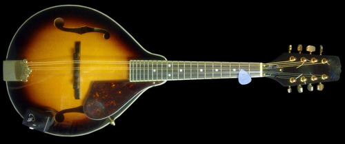 Myers Pickups Roman Mandolin Pickup Con Micro-gooseneck