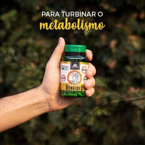 Gengibre Orgânico Em Cápsula Vegetal 350mg 60cps Kampo Ervas