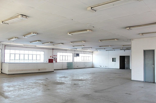 Imagem 8 de 15 de Galpão Com 2800m²ac Próximo A Estação Presidente Altino - Rua Com Saida Direto Para Marginal - Pp15440