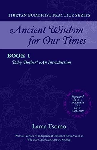 Why Bother?: An Introduction (ancient Wisdom For Our Times T