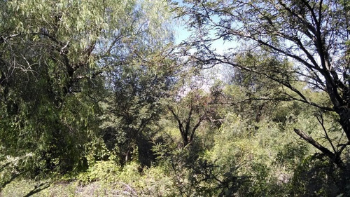 Imagen 17 de 19 de Terreno En Venta En San Marcos Sierras