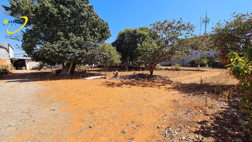 Imagem 6 de 13 de Lote 3000m2 No Saan Quadra 03- Brasilia-df