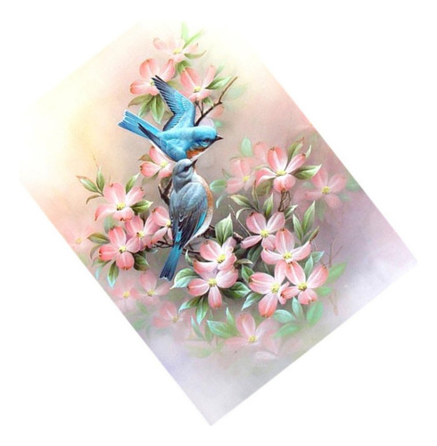 5d: Z Kits De Flores For Adultos Pintura Por Números