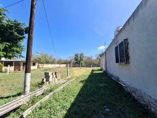 Venta Amplio Terreno De 6000 M2 Tahdzibichen, Merida, Yucatan.