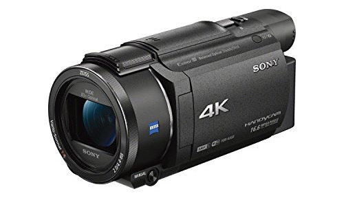 Sony Fdrax53 / B 4k Hd Videocámara De Grabación De Video (ne
