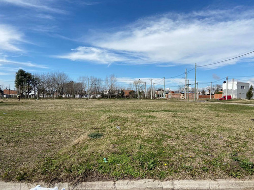 Imagen 4 de 10 de Lotes En Venta En Nuevo Lorenzo.