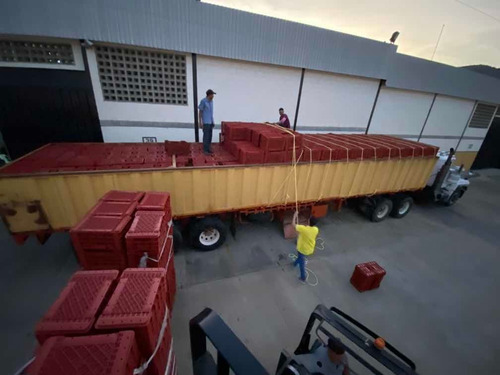 Cestas De Verdura Pollo Y Frutas Plasticas 40 Kg Lamejor