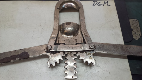 Descornador Para Bovinos Tipo Cuchara Sin Uso Salteado Cromo