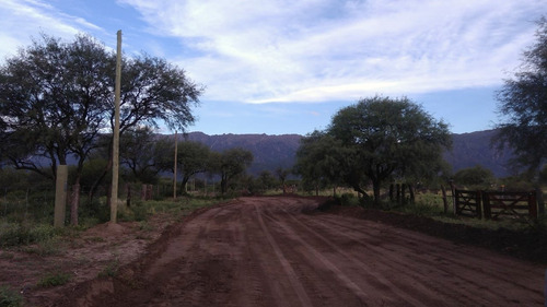 Imagen 4 de 7 de Chacra En Carpintería Con Agua
