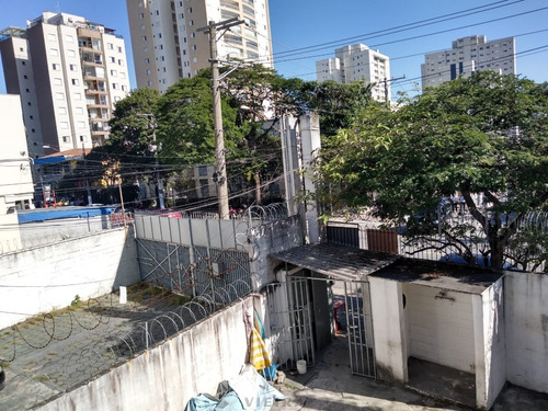Imagem 15 de 15 de Para Vc Do Ramo Logístico Que Procura Galpão !! - 2805-1