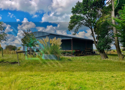 Campo Agrícola-ganadero, 137 Há En Colonia | Sobre Ruta 21