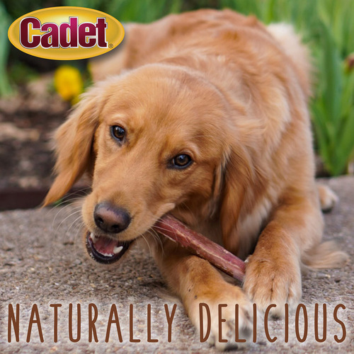 Dog Bully Sticks Cadet, De Larga Duración, Totalmente Natura