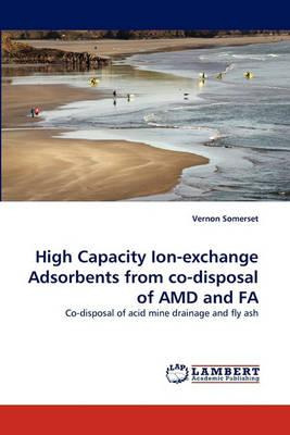 Libro High Capacity Ion-exchange Adsorbents From Co-dispo...