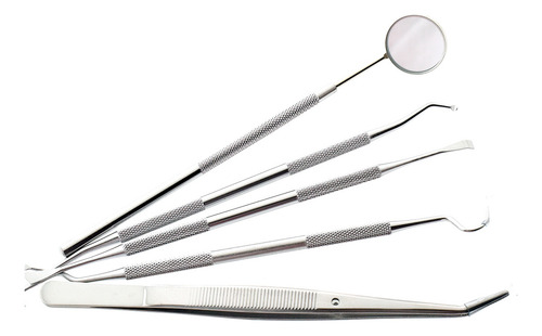 Kit De Limpieza Dental Profesional 5 En 1 Pieza