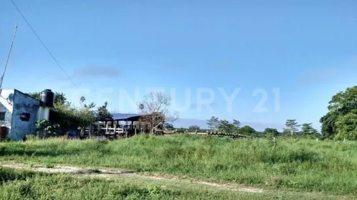Rancho Agrícola Y Ganadero En Champotón Campeche. 50 Hectareas De Pastizales.