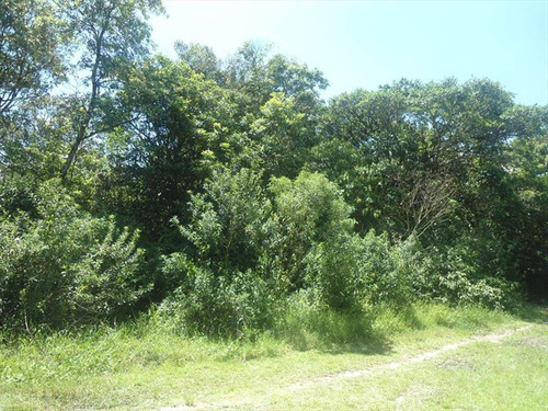 Imagem 2 de 2 de Terreno - Venda - Coronel - Itanhaem - Ita2718