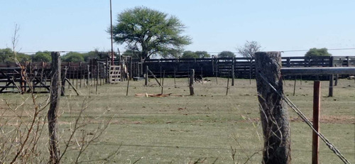 Imagen 7 de 15 de Terreno Campo En Venta Ubicado En La Maruja, Rancul