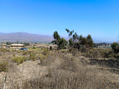 Vive En Este Lindo Lugar (74409)
