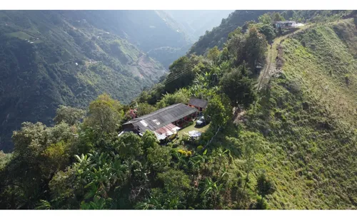 Venta Finca 77000 Mts2 Abejorral Vereda El Guaico