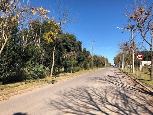 Imagen 4 de 8 de Lote 42 Villa Chicha