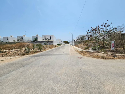 Terreno En Renta Fraccionamiento  Real Montejo  Mérida, Yucatán.