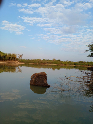 Fazenda Paraiso Dos Pescadores 47,600ha Rio Do Peixe C/ Rio Araguaia - Viuva - Nova Crixas - Go
