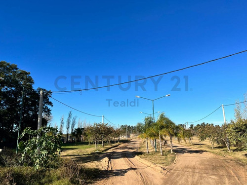 Ruta Prov 1 Km 36- Lote N°18 En Venta-santa Rosa De Calchines