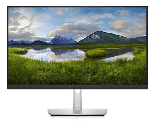 Monitor Dell P P2422HE LCD TFT 23.8" negro y plata 100V/240V