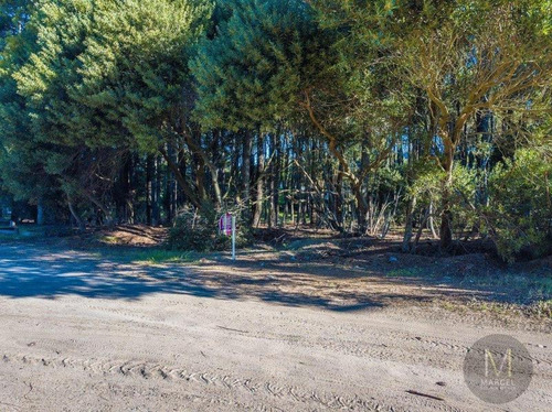 Imagen 2 de 9 de Lote En Venta - Pinamar Norte
