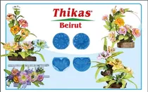 Comprar Moldes Para Flores De Foamy Beirut Con 2 Pares De Moldes