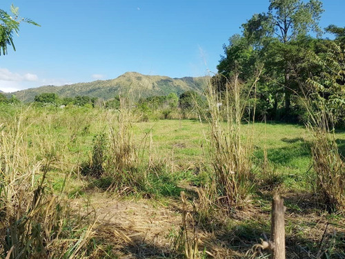 Terreno En La Cumaca San Diego Za 