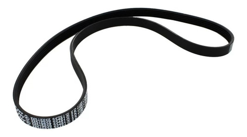 Correia Em Poly-v Elite 4pk 0815
