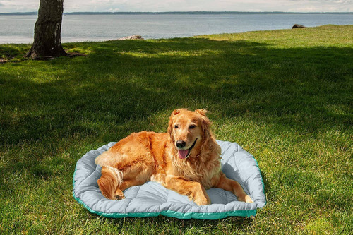 Furhaven Outdoor Pet Beds For Dogs And Cats - Trail Pup Port