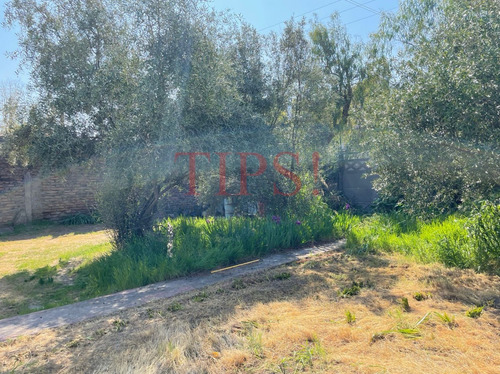 Terreno Comercial, Con Gran Potencial En Venta