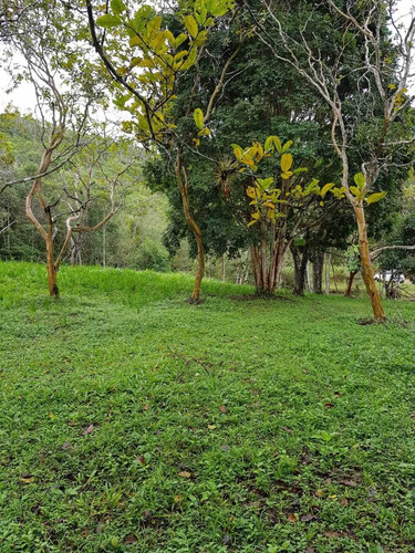 Imagem 10 de 14 de Sitio Próximo A Represa Ref 1291
