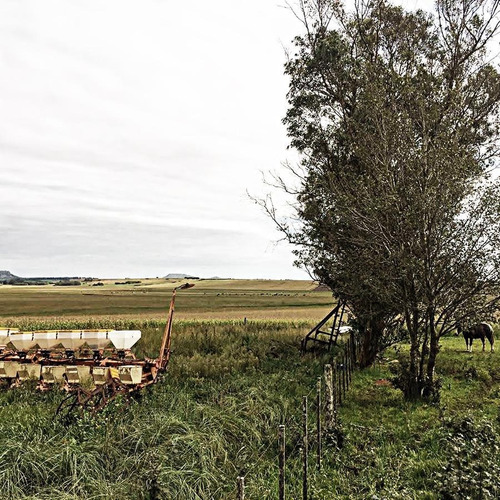 Imagen 8 de 15 de Campo - Balcarce