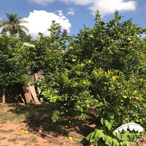 Imagem 4 de 7 de Venda | Terreno Em Campo Limpo Paulista - Com 690 M² - No Jardim Laura. - Te00173 - 69375572