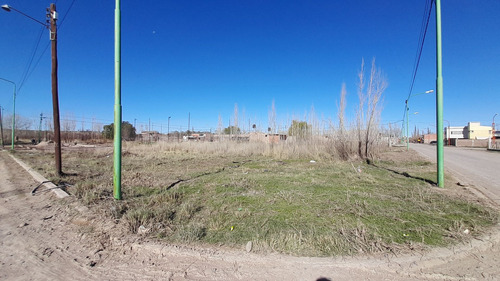 Lote En Cinco Saltos