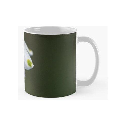 Taza Campanilla De Las Nieves Veces Tres Calidad Premium