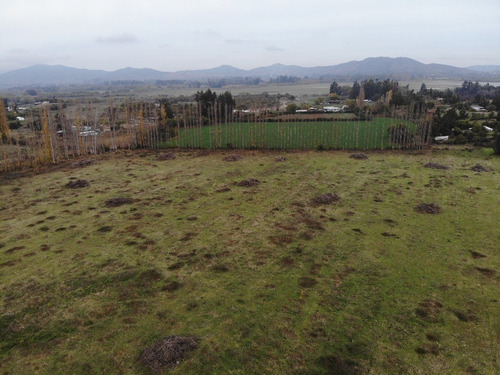 Venta De Campo En Rapel Id 51.271-cam