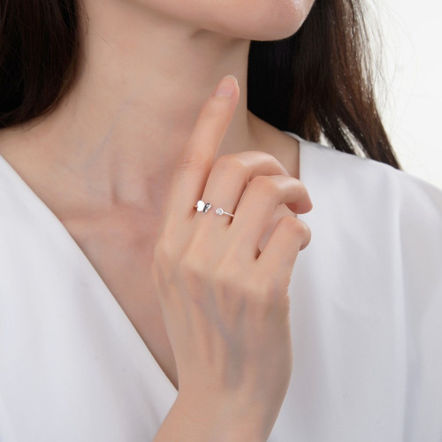 Anillo Ajustable De Plata 925 (lan01)