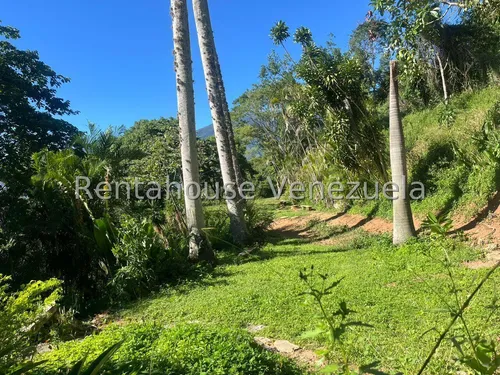 Apartamento En Venta San Román